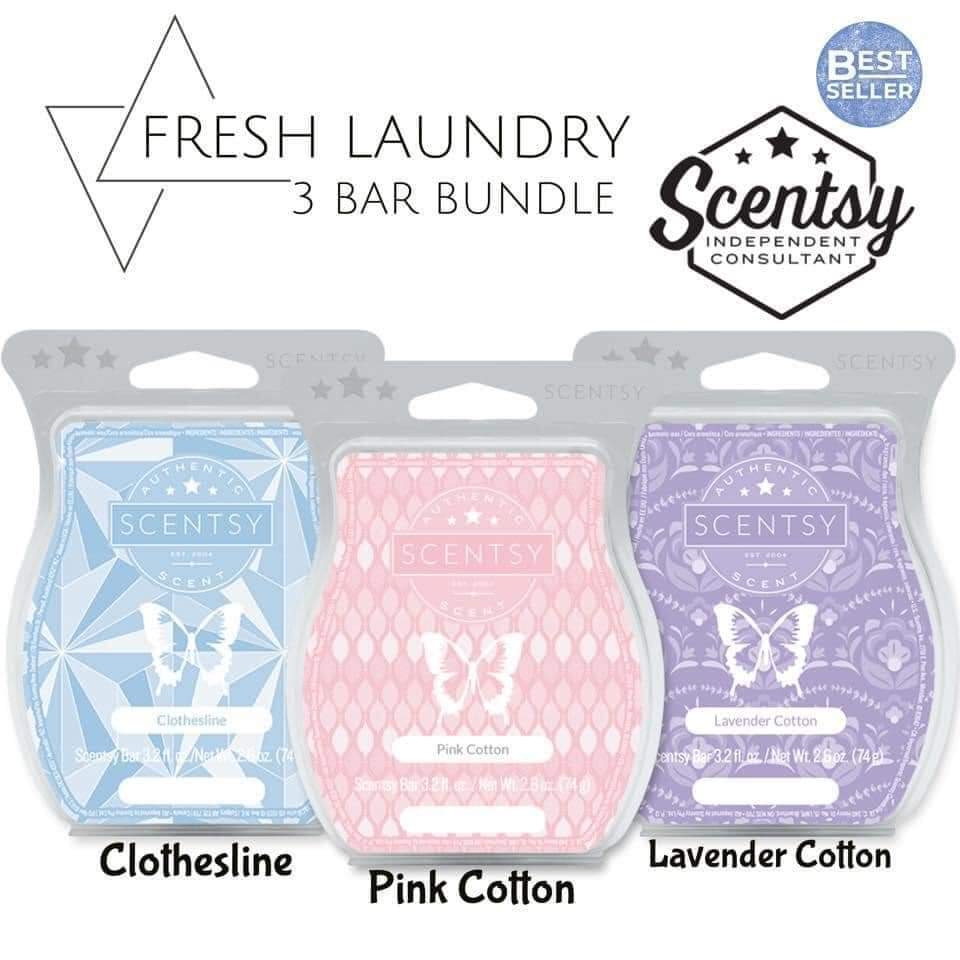 Scentsy by Jade Hewes | 583 Barber Ave N, Listowel, ON N4W 1S5, Canada | Phone: (226) 622-3359