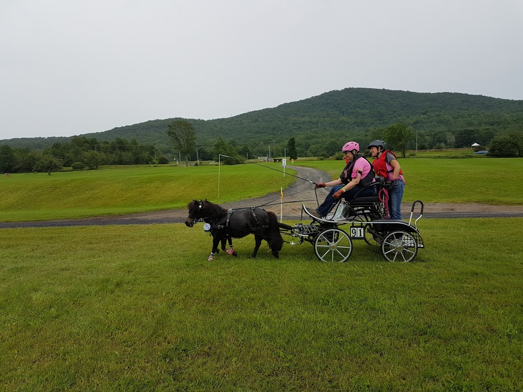 Parc Équestre Olympique de Bromont | 450 Chemin de Gaspé, Bromont, QC J2L 1A9, Canada | Phone: (450) 534-0787