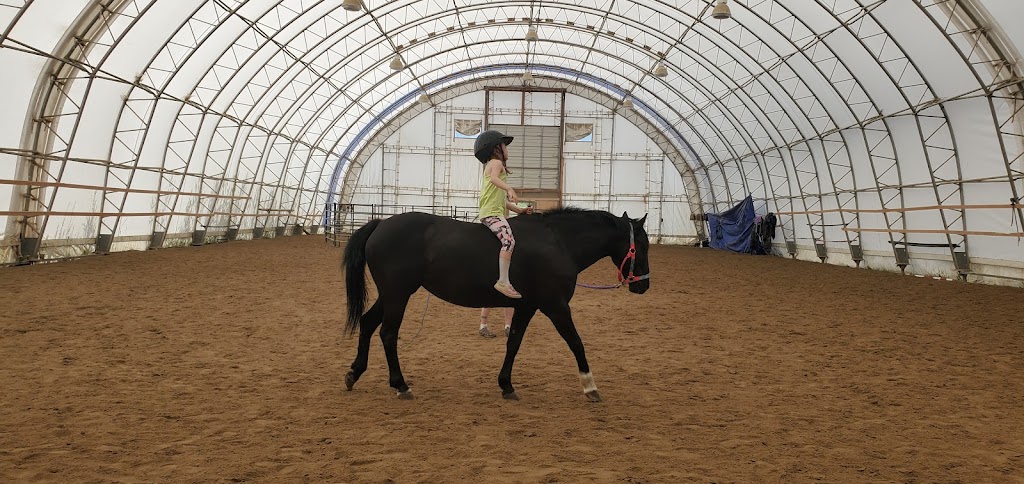 Cooks Creek Equestrian | 68082, MB-212, Cooks Creek, MB R5M 0E2, Canada | Phone: (431) 688-4344