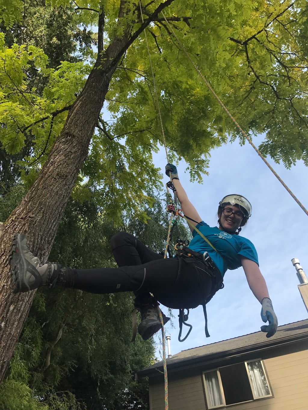 The Crooked Tree Arborist | 11910 57 St NW, Edmonton, AB T8A 1Z2, Canada | Phone: (780) 993-6239