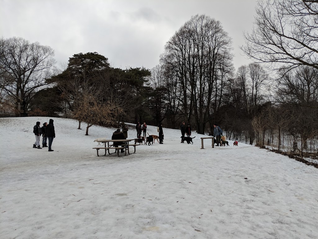 High Park Dog Off Leash Area | 1873 Bloor St W, Toronto, ON M6R 2Z3, Canada | Phone: (416) 338-0338