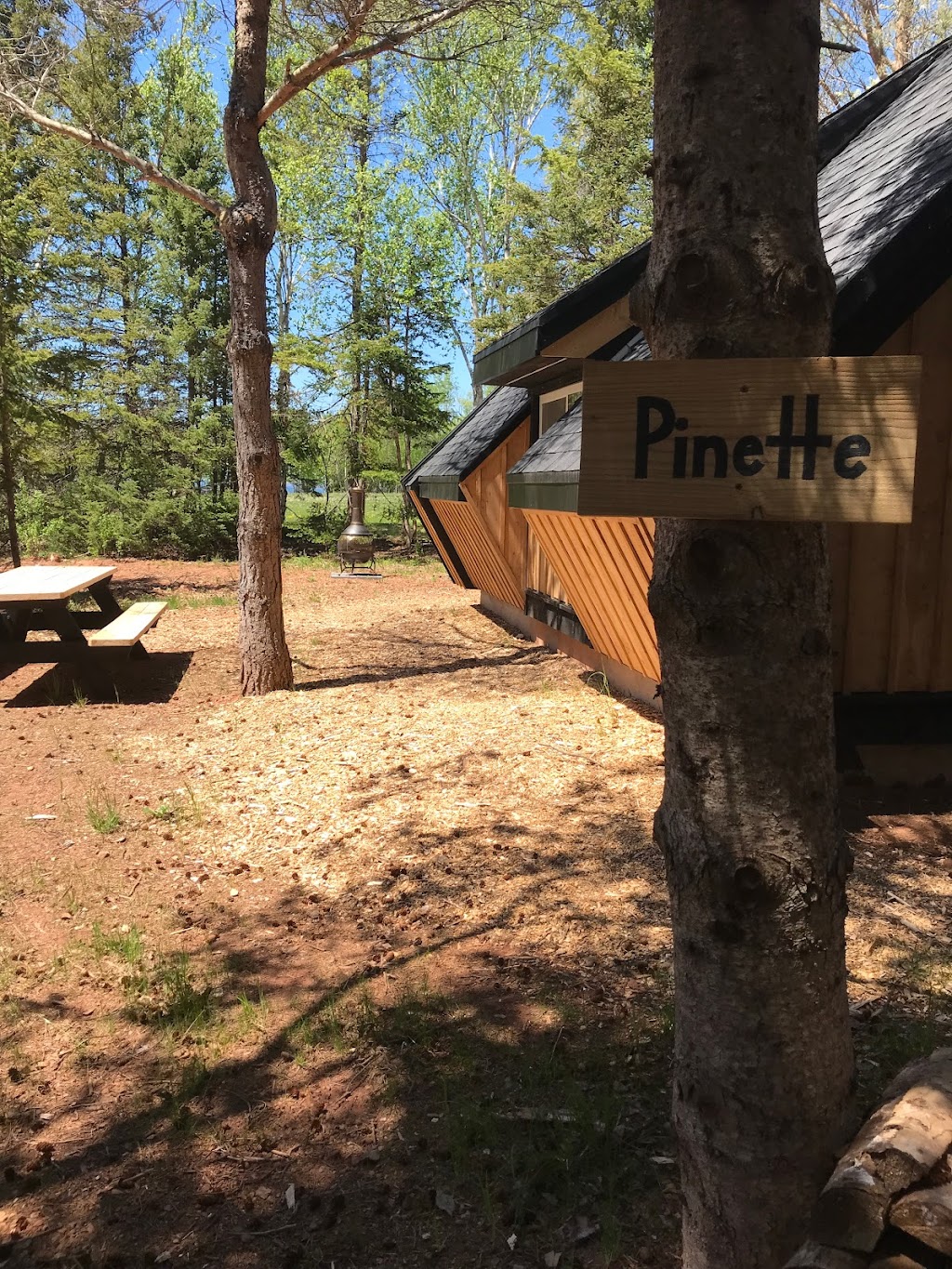 Wild Pines Cabins | 106 Selkirk Park Rd, Belfast, PE C0A 1A0, Canada | Phone: (902) 659-2266