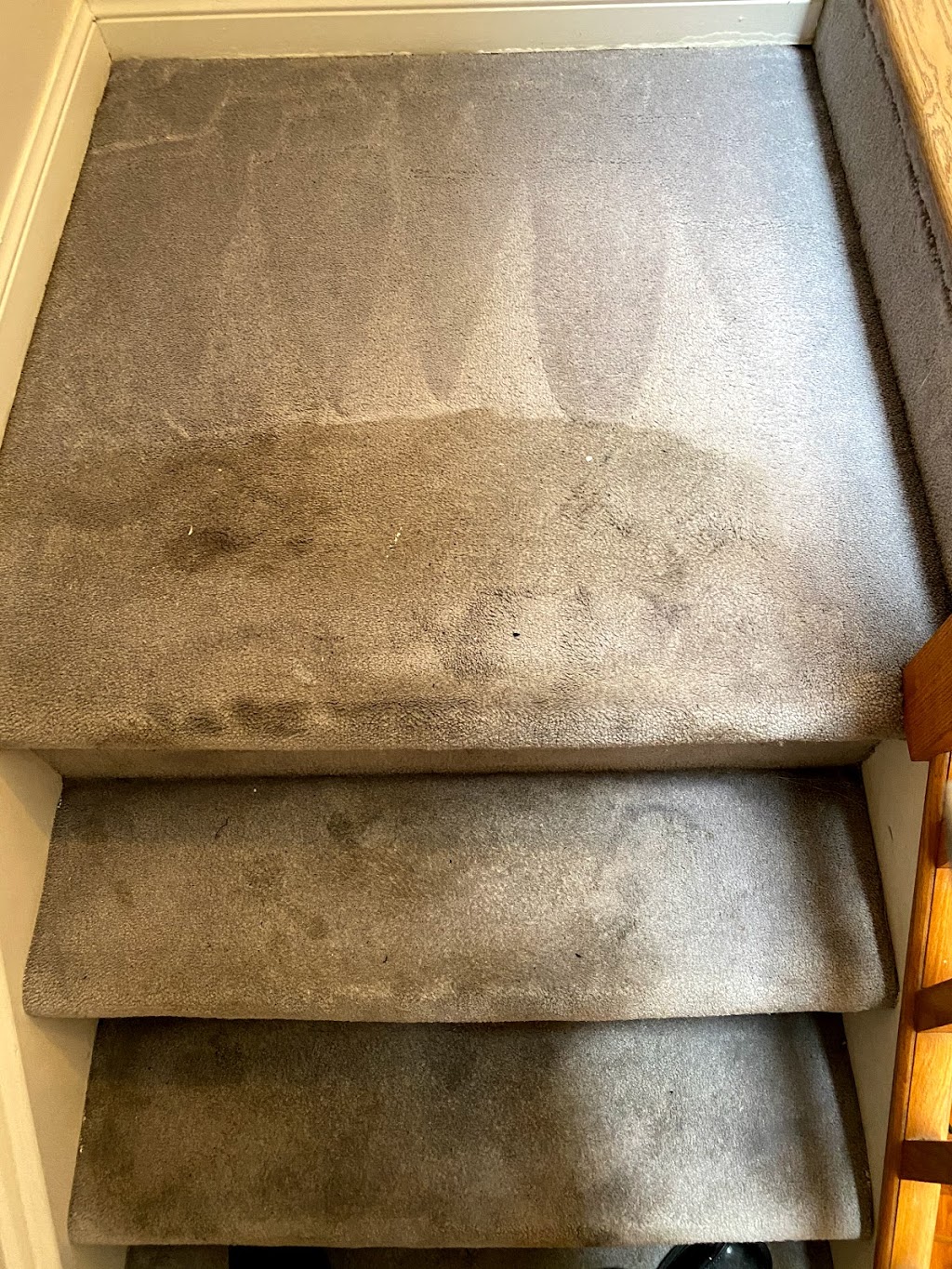 Pamir Carpet Cleaning | Tile and Grout | Residential & Commercial | Upholstery | Area Rag | Marble Restoration | Cleaning Services in Oakville | 3271 Donald Mackay St, Oakville, ON L6M 5K2, Canada | Phone: (416) 727-3597