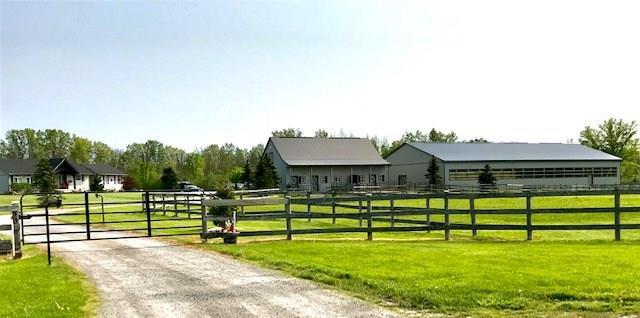 Wyndym Equine (at Mulgrave) | 4515 Garrison Rd, Ridgeway, ON L0S 1N0, Canada | Phone: (905) 347-0251