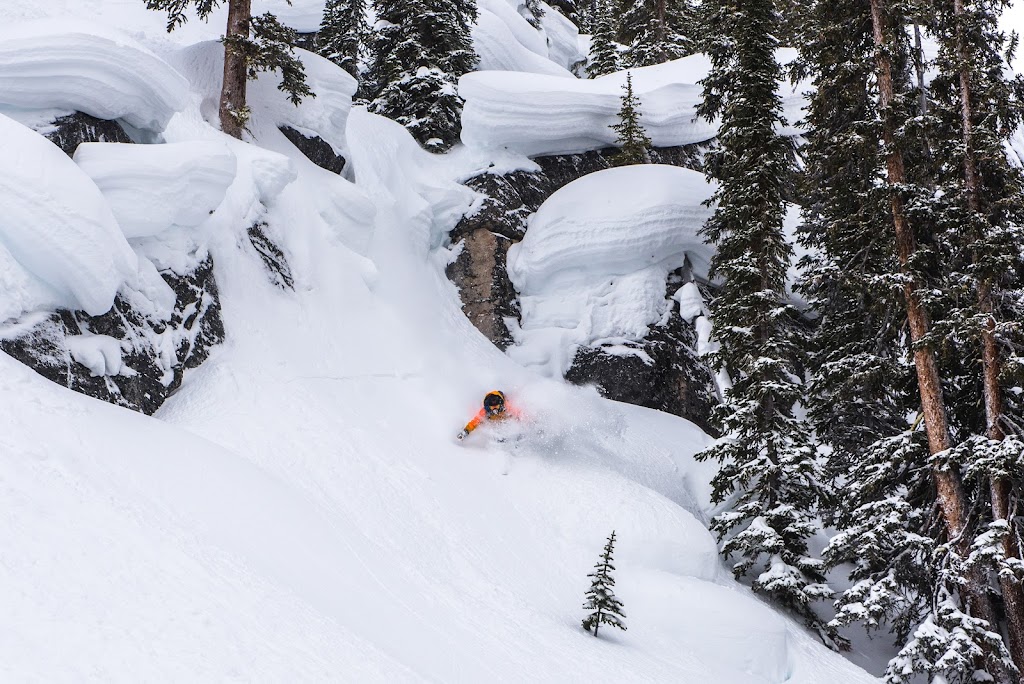 Selkirk Powder Descents | 858 Ohlhausen Rd, Revelstoke, BC V0E 3K0, Canada | Phone: (250) 837-1684