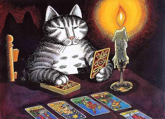 Apple River Tarot Readings | R.R.#3 Hwy.209, Parrsboro, NS B0M 1S0, Canada | Phone: (207) 217-9144