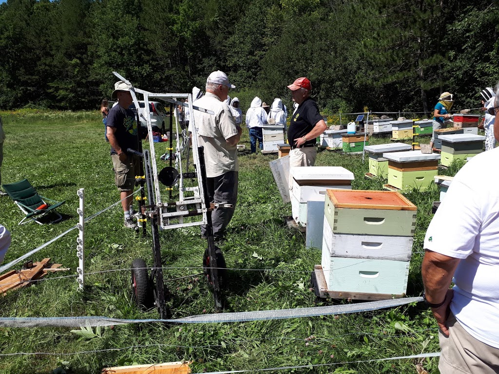 Lacelles Apiary & Beekeeping Supplies | 126 Spruce Dr, Carleton Place, ON K7C 3P1, Canada | Phone: (613) 253-0566