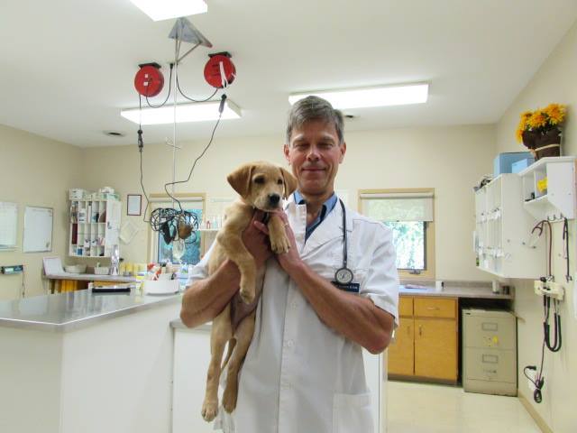 Fairmont Animal Hospital | 995 Hamilton Rd, London, ON N5W 1A4, Canada | Phone: (519) 453-2940