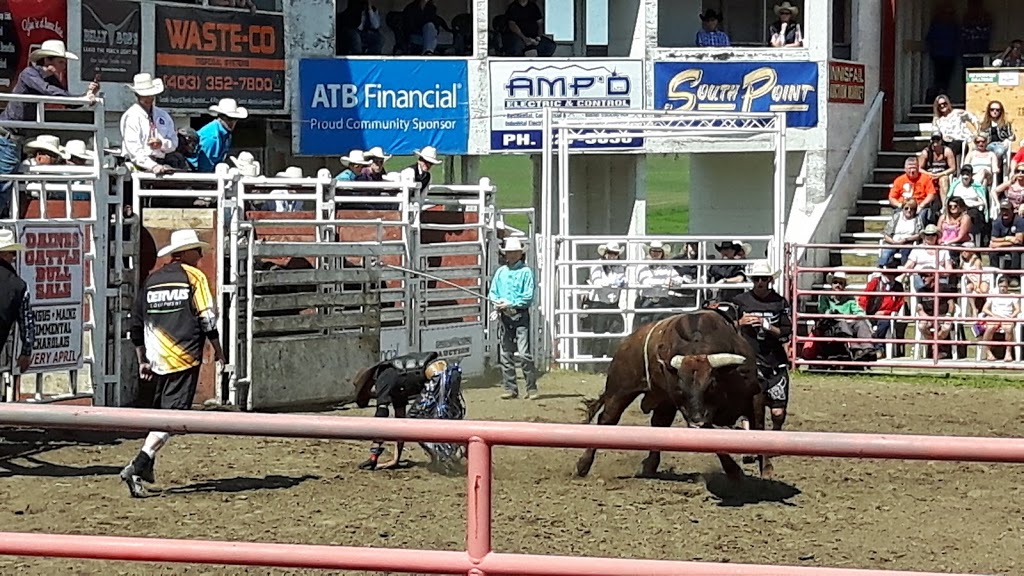 Daines Rodeo Ranch | Range Rd 284, Penhold, AB T0M 1R0, Canada | Phone: (403) 227-3166