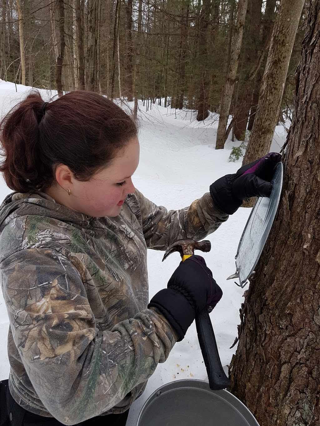 Sweetwater Maple Syrup | 1447 Peterson Rd, Bracebridge, ON P1L 1X1, Canada | Phone: (705) 646-1081