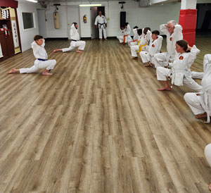 Belleville Karate & Jiu-Jitsu | 246 N Front St, Belleville, ON K8P 3C2, Canada | Phone: (613) 967-2323