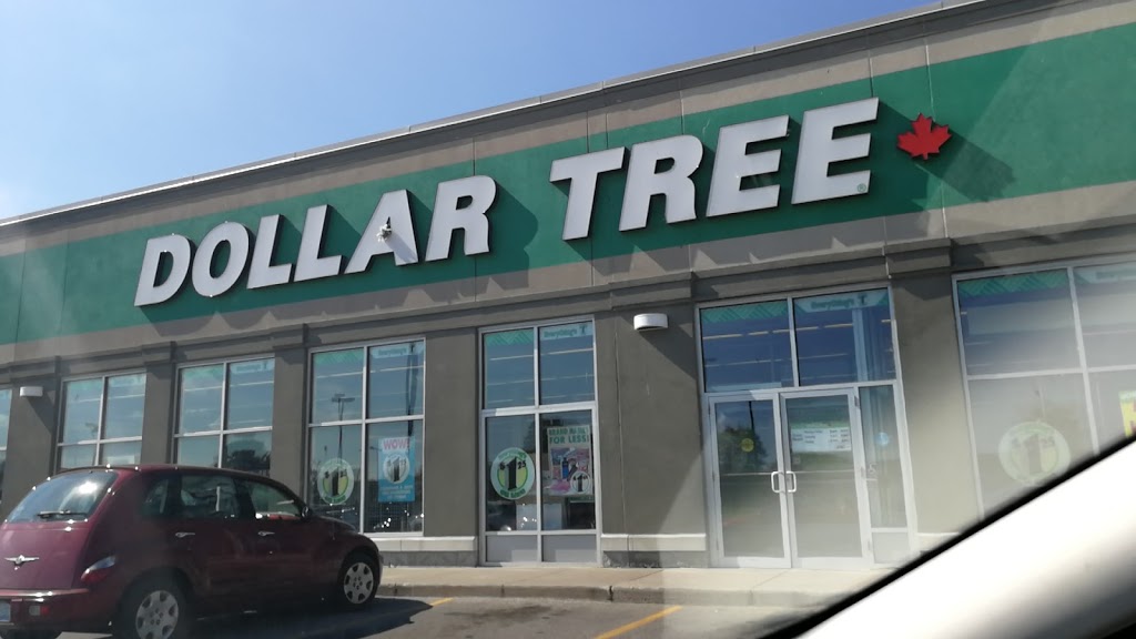 Dollar Tree | 60 McNaughton Unit 68- 1&2, Wallaceburg, ON N8A 1R9, Canada | Phone: (519) 627-7164