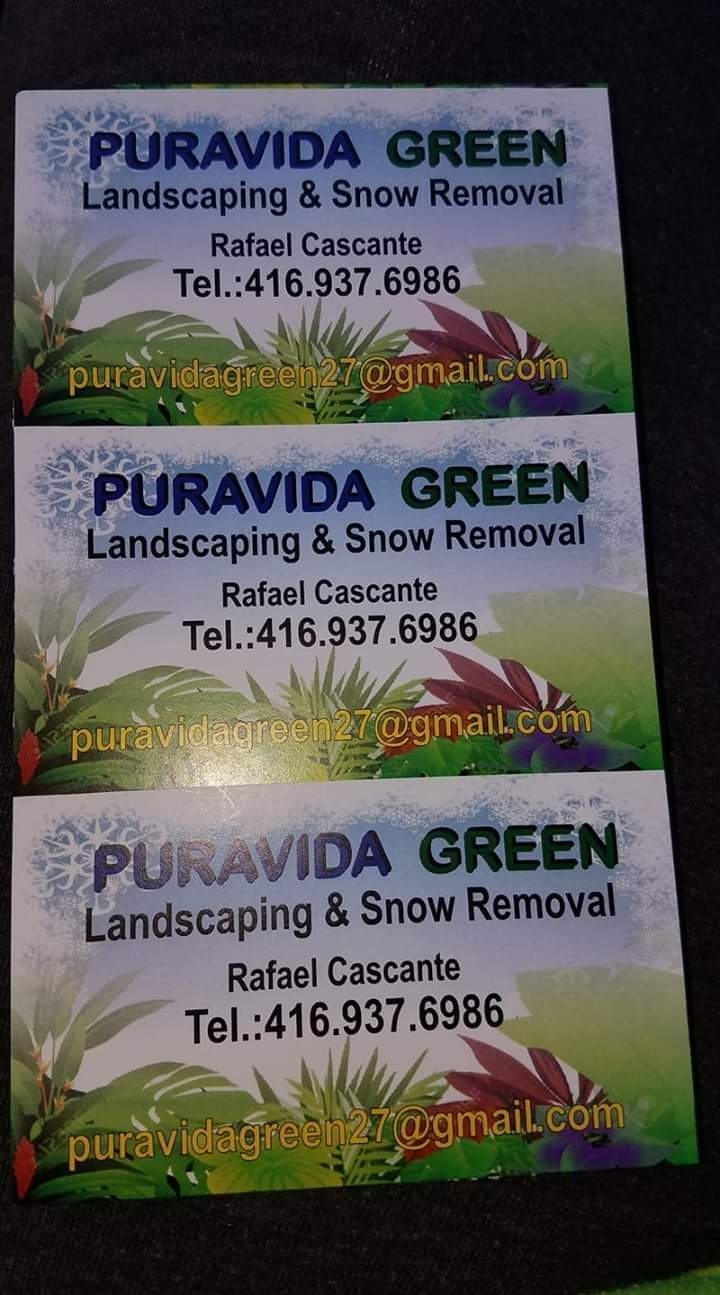 Puravida green | 369 Vodden St E, Brampton, ON L6V 1N5, Canada | Phone: (416) 937-6986