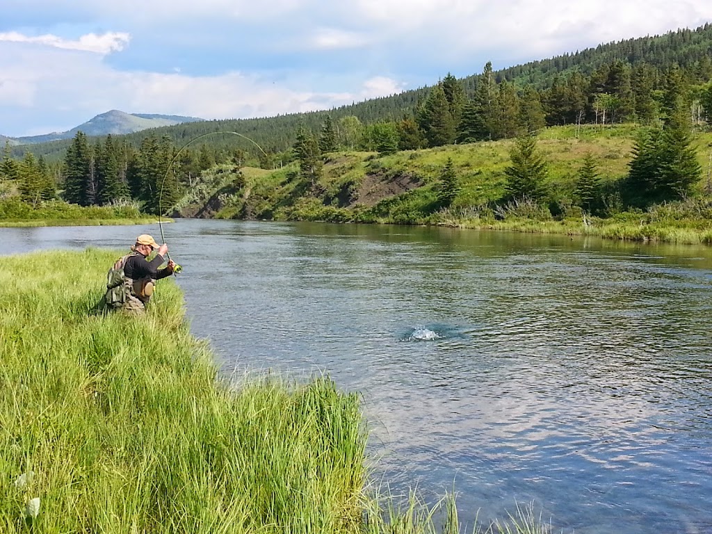 Alberta Fly Fishing Adventures | 8301 20 Ave, Coleman, AB T0K 0M0, Canada | Phone: (403) 563-8510