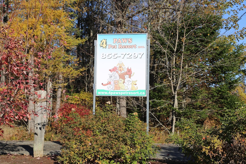 4 Paws Pet Resort Inc | 82 Zack Rd, Berry Mills, NB E1G 2T8, Canada | Phone: (506) 855-7297