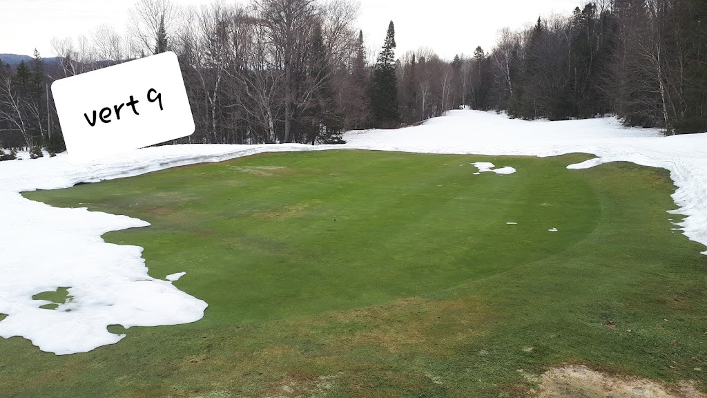 Club De Golf Chantecler Ste-Adèle Ltée | 2520 Chem. du Club, Sainte-Adèle, QC J8B 3C3, Canada | Phone: (450) 476-1339