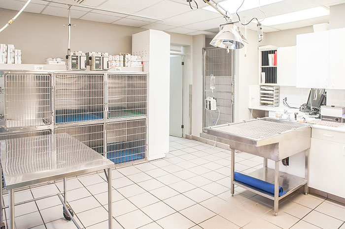 Forest Hill Animal Clinic | 1049 Eglinton Ave W, York, ON M6C 2C9, Canada | Phone: (416) 782-1031