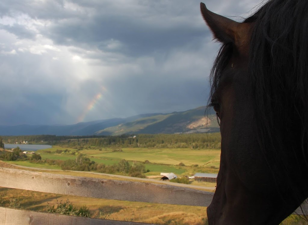 Turning Point Farm | 864 Corkscrew Rd, Armstrong, BC V0E 1B5, Canada | Phone: (250) 546-2477