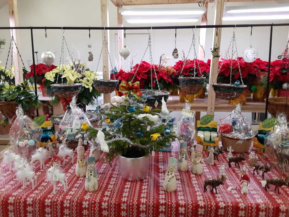 The Queens Florist | 186 Church St, Liverpool, NS B0T 1K0, Canada | Phone: (902) 343-3569