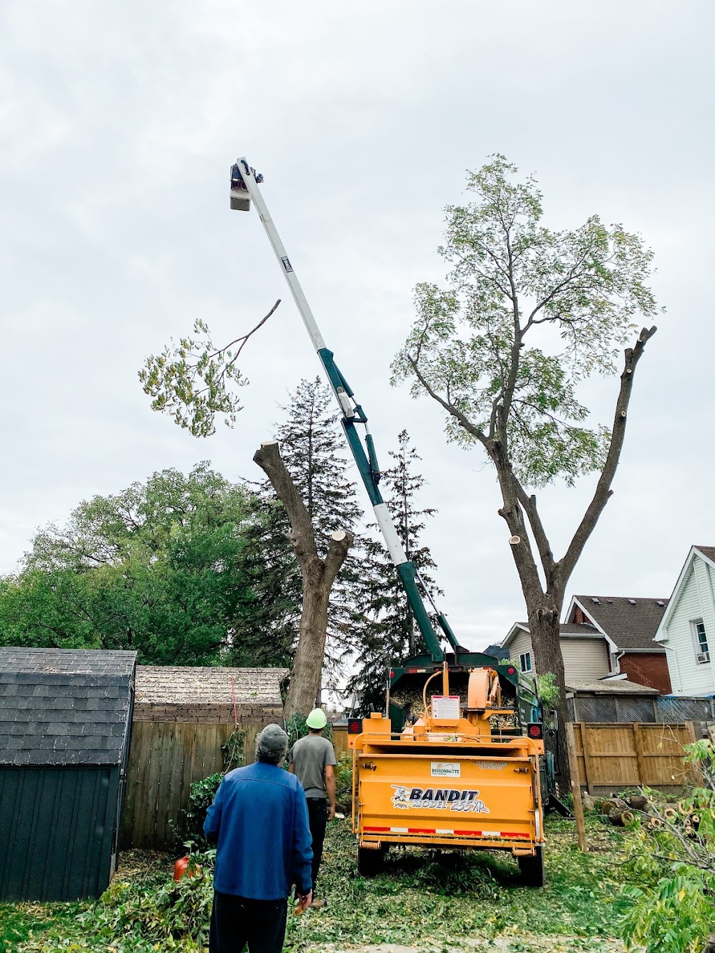 Bison Tree Service | 59071 Pleasant Rd 38E, Anola, MB R5L 0E7, Canada | Phone: (289) 683-5408