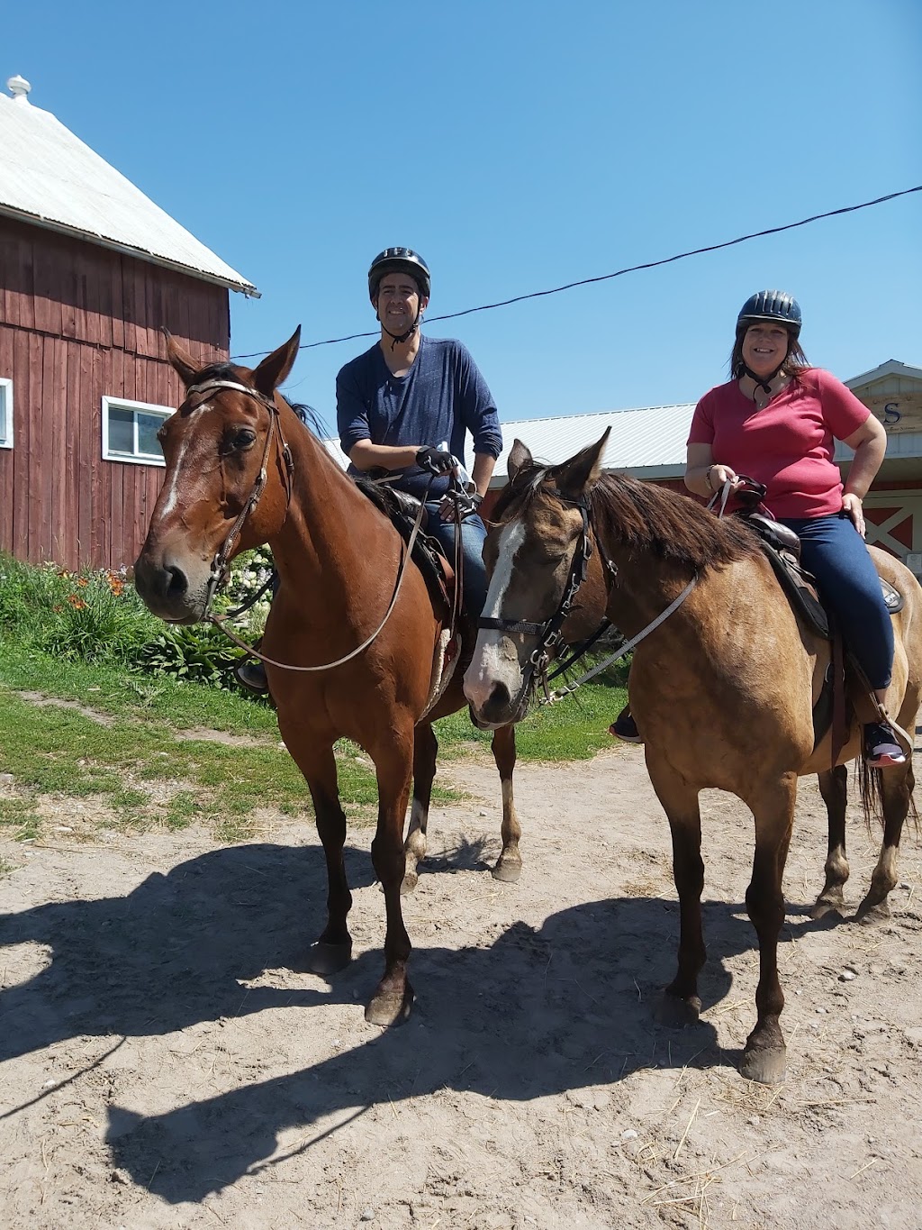 Stillbrook Riding Stables | 570 Woodside Rd, Keene, ON K0L 2G0, Canada | Phone: (705) 295-4538