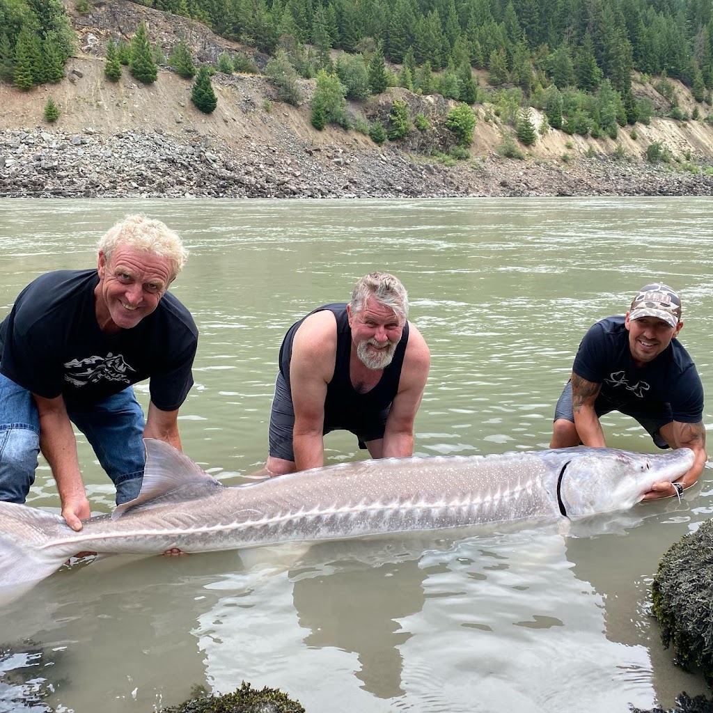 Hooked Up Fishing Adventures | 49830 Camp River Rd, Chilliwack, BC V2P 6H4, Canada | Phone: (604) 316-8880