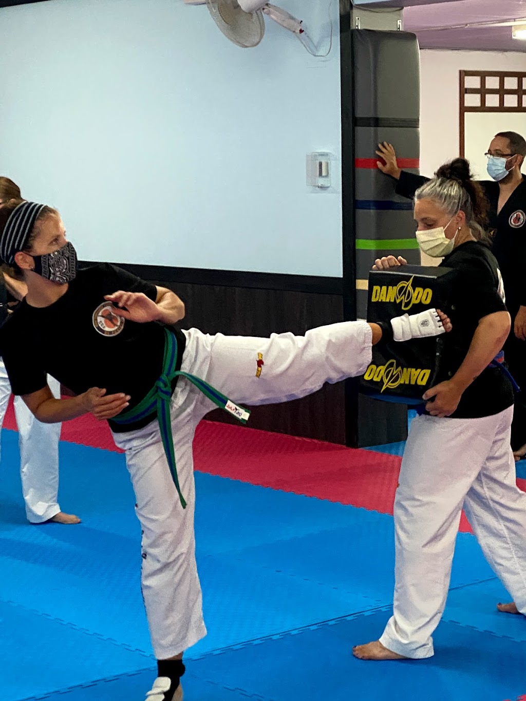 LEquipe Taekwondo plus | 41 Rue Saint-Laurent, Saint-Eustache, QC J7P 1V9, Canada | Phone: (514) 824-0136