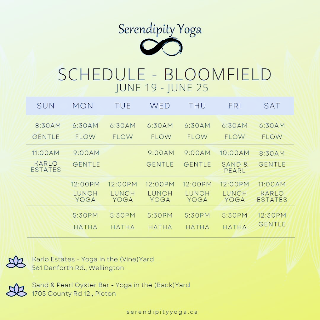 Serendipity Yoga 2 | 286 Bloomfield Main St, Bloomfield, ON K0K 1G0, Canada | Phone: (416) 659-6448