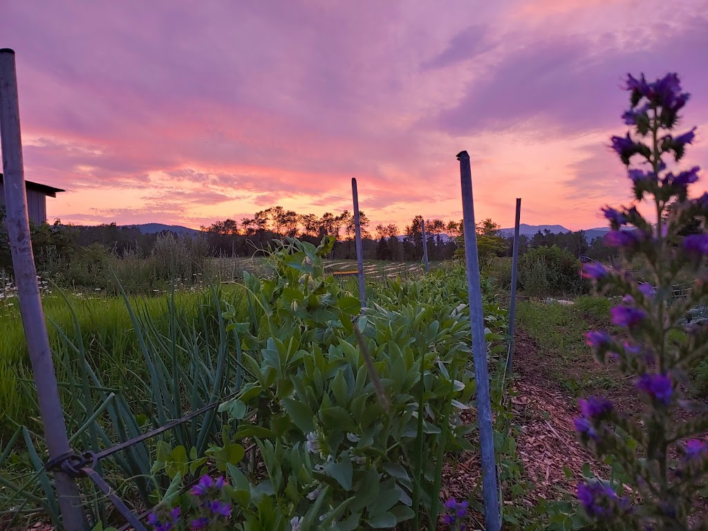 Le Jardin de la Simplicité - Winery / Cidery / Nano-Distillery | 314 Rue St Édouard, Saint-Urbain, QC G0A 4K0, Canada | Phone: (418) 435-8986