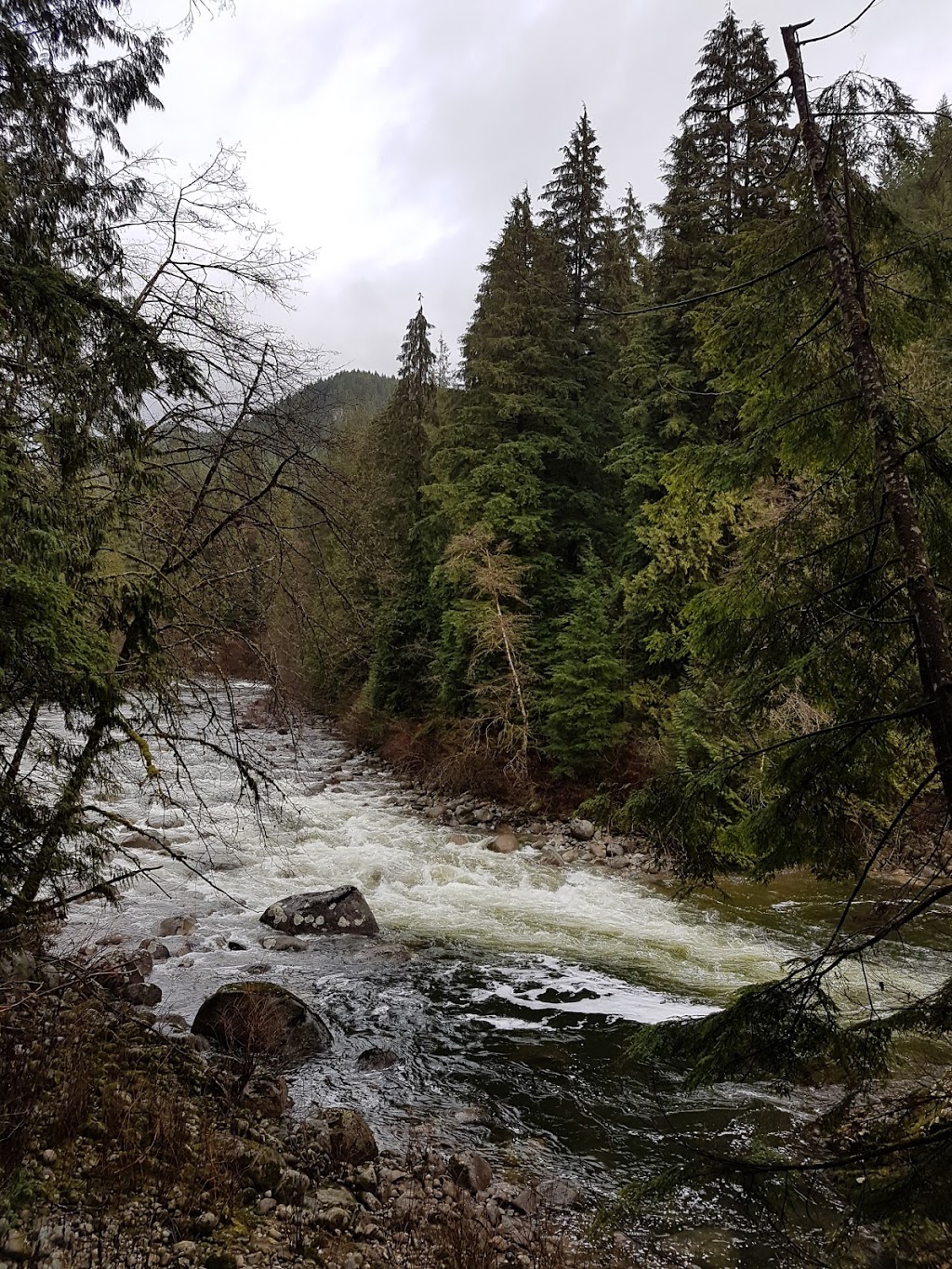 Fisherman’s Trail | Fishermans Trail, North Vancouver, BC V7H 2K6, Canada