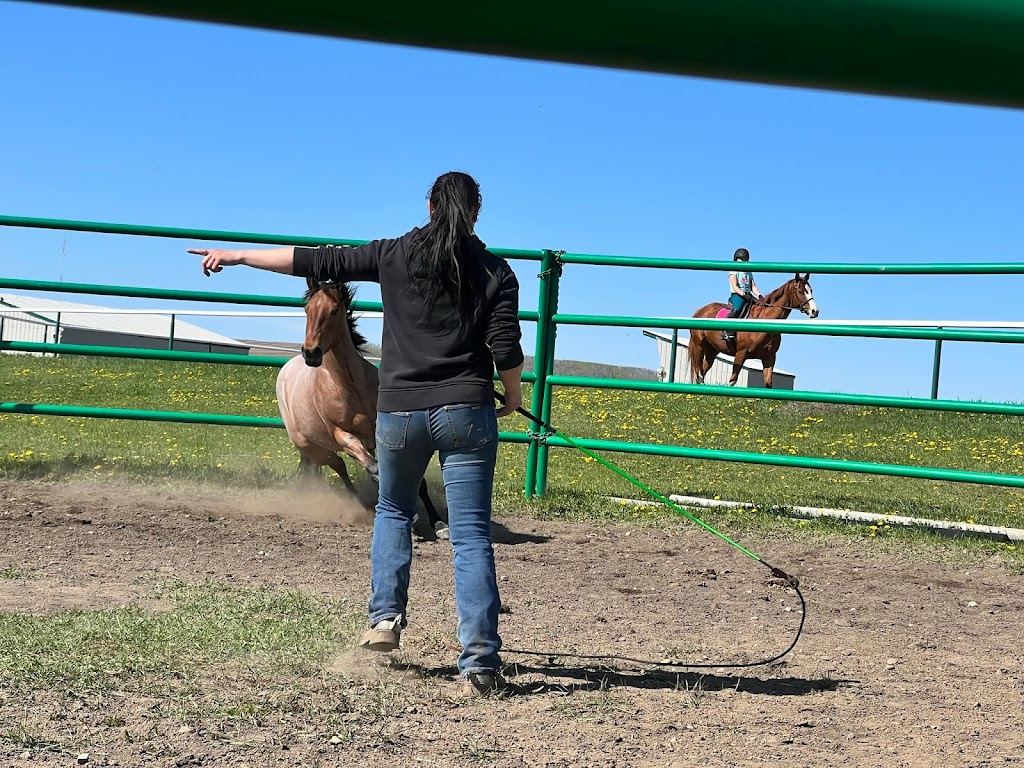 MH Horsemanship & Colt Starting | 390039 Range Rd 5-4, Alhambra, AB T0M 0C0, Canada | Phone: (403) 318-6107