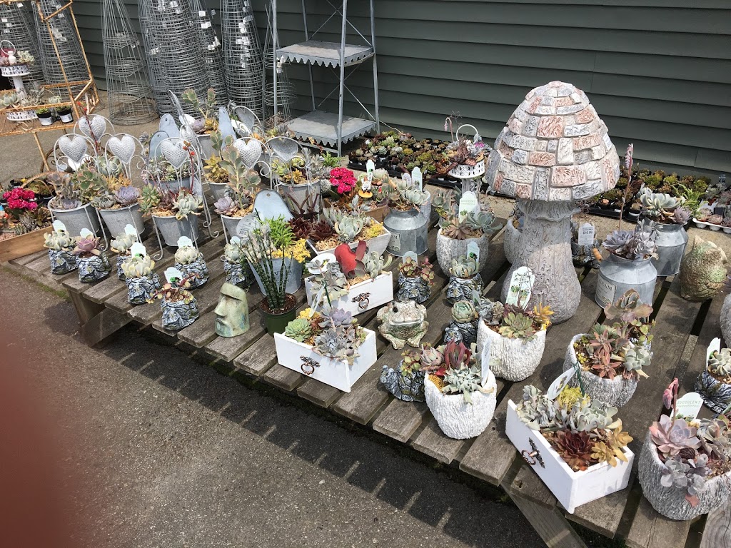 Sunnyside Nurseries | 2300 56 St, Delta, BC V4L 2P2, Canada | Phone: (604) 943-9712