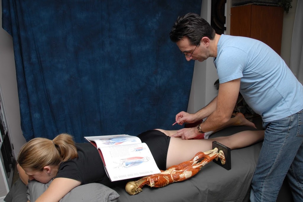 McMaster Contemporary Medical Acupuncture Program | 1280 Main St W, Hamilton, ON L8S 4K1, Canada | Phone: (905) 521-2100