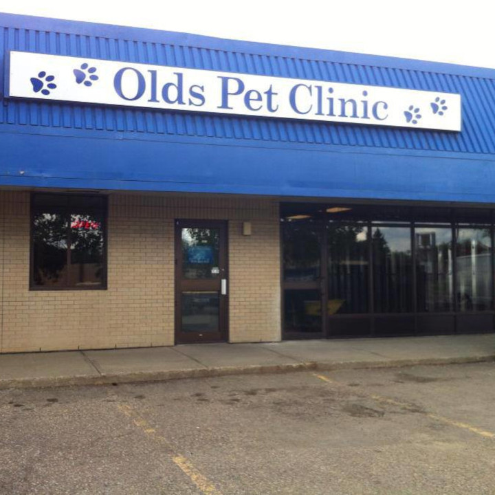 Olds Pet Clinic | 5314A 46 St, Olds, AB T4H 1B8, Canada | Phone: (403) 556-1151