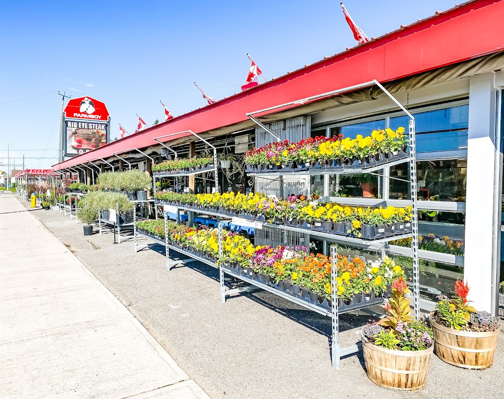 Farmboy Markets Ltd | 754 Lansdowne St, Peterborough, ON K9J 1Z3, Canada | Phone: (705) 745-2811