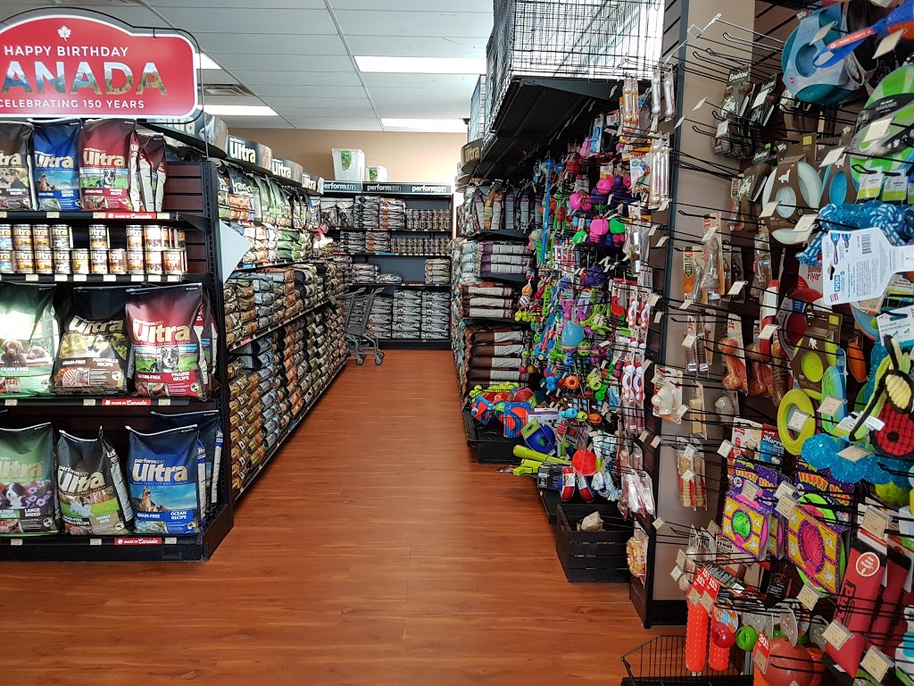 Pet Valu | 1 Pine Dr, Parry Sound, ON P2A 3C3, Canada | Phone: (705) 746-7179