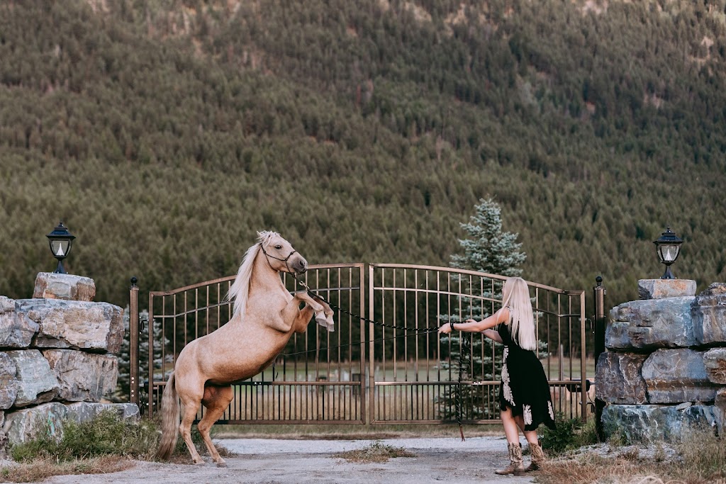 Freespirit Horsemanship | Hwy 3, BC-93, East Kootenay, BC V0B 1T0, Canada | Phone: (250) 417-6974