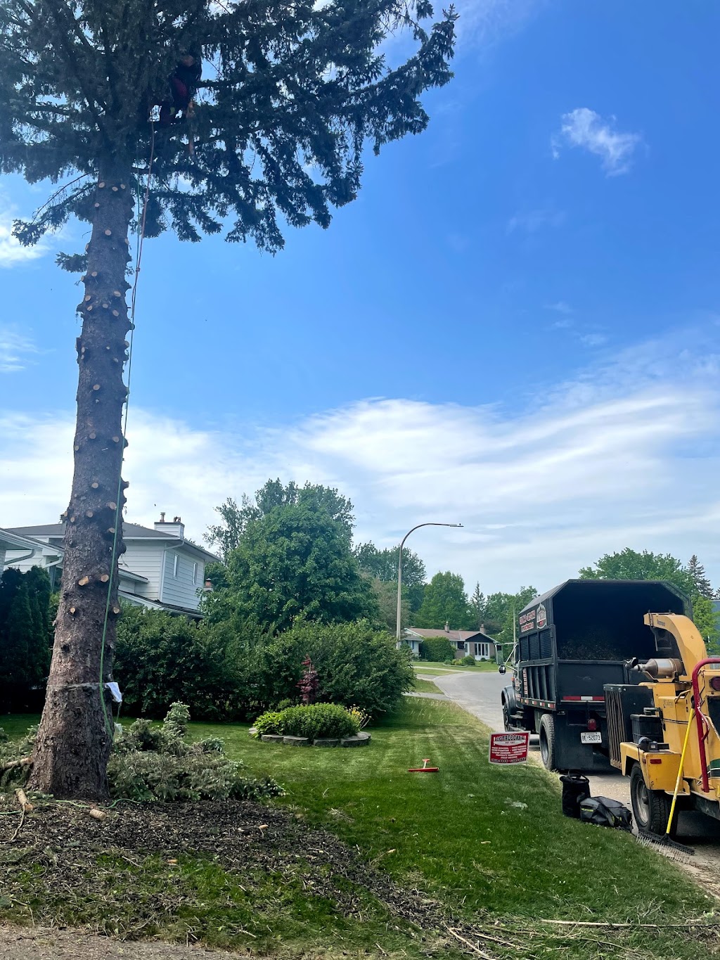 O.C Tree Care Inc. | Osgoode, Ottawa, ON K0A 2W0, Canada | Phone: (613) 327-3582