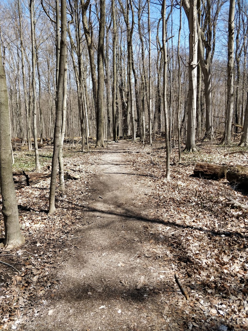 Trillium Woods Provincial Park | Beachville, ON N0J 1A0, Canada