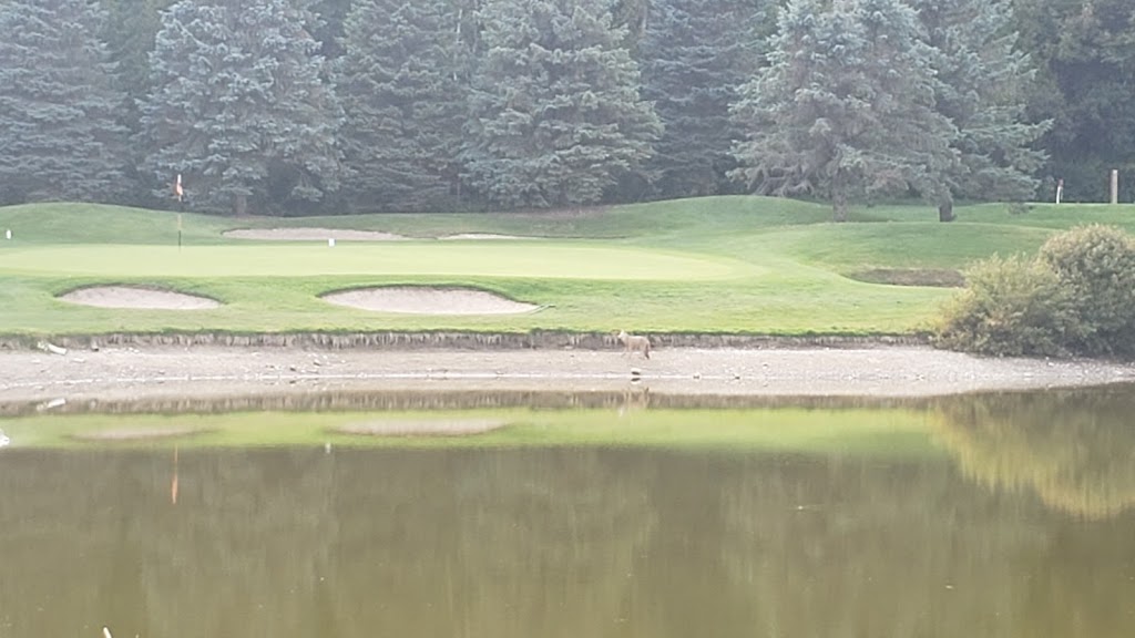 Spring Creek Golf Club | 2425 Concession Rd 9, Claremont, ON L1Y 1A2, Canada | Phone: (905) 649-5333