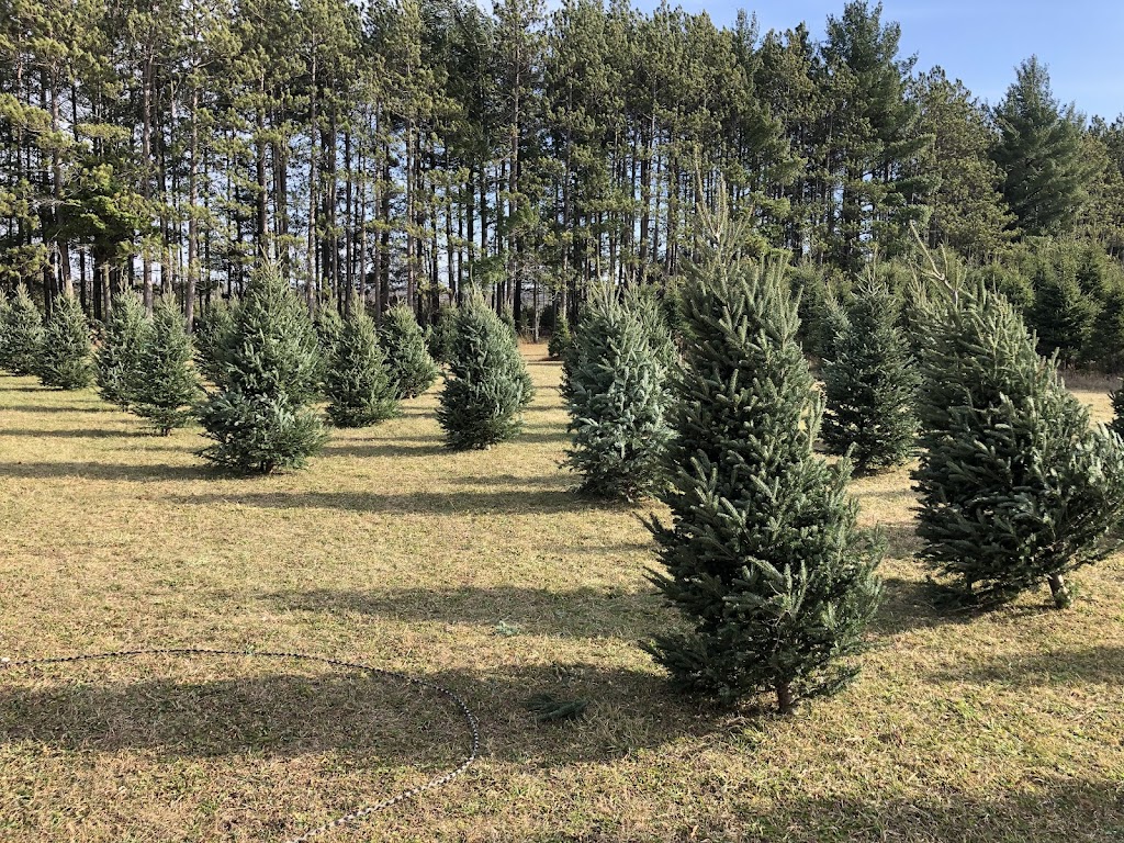 Hockley Holiday Tree Farm | 934091 Airport Rd, Orangeville, ON L9W 2Z2, Canada | Phone: (416) 821-6827