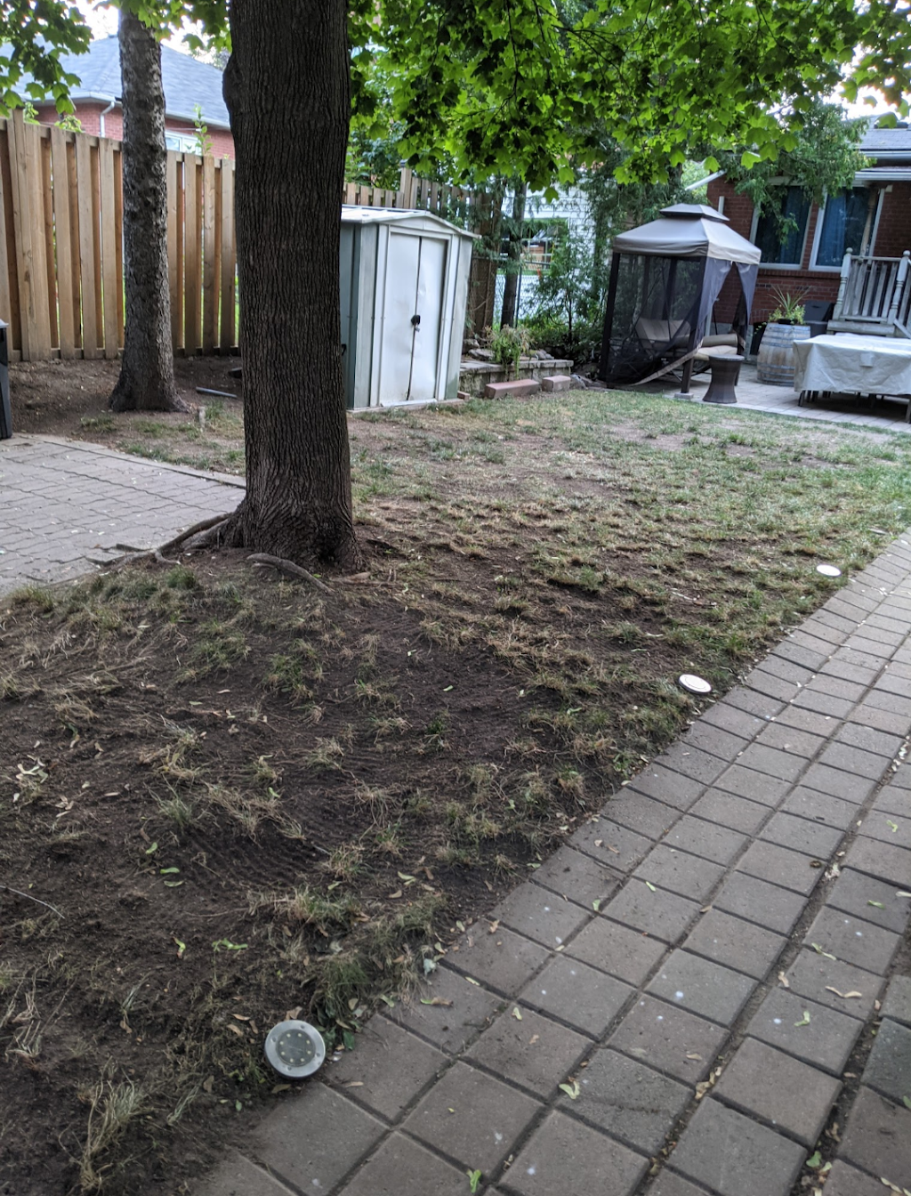 4evergreen landscaping services | 5 Harding Ave, North York, ON M6M 0A3, Canada | Phone: (416) 844-6524