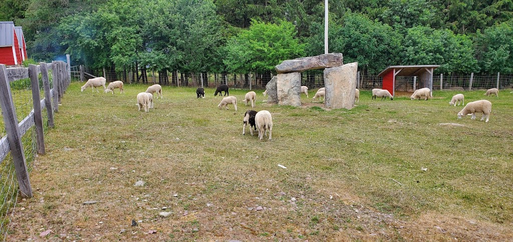 Ferme du Dolmen - Armagh | 171 QC-281, Armagh, QC G0R 1A0, Canada | Phone: (581) 309-7916