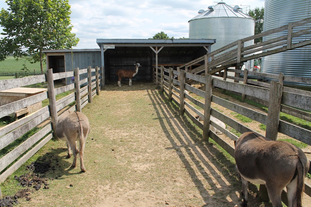 Leaping Deer Adventure Farm and Market | 544212 Clarke Rd, Ingersoll, ON N5C 3J8, Canada | Phone: (519) 485-4795