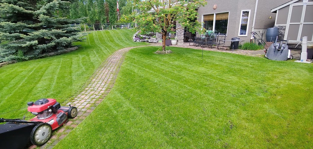 Calgary Level Up Lawn & Snow | 16 Amiens Crescent SW, Calgary, AB T2T 6E8, Canada | Phone: (587) 224-9523