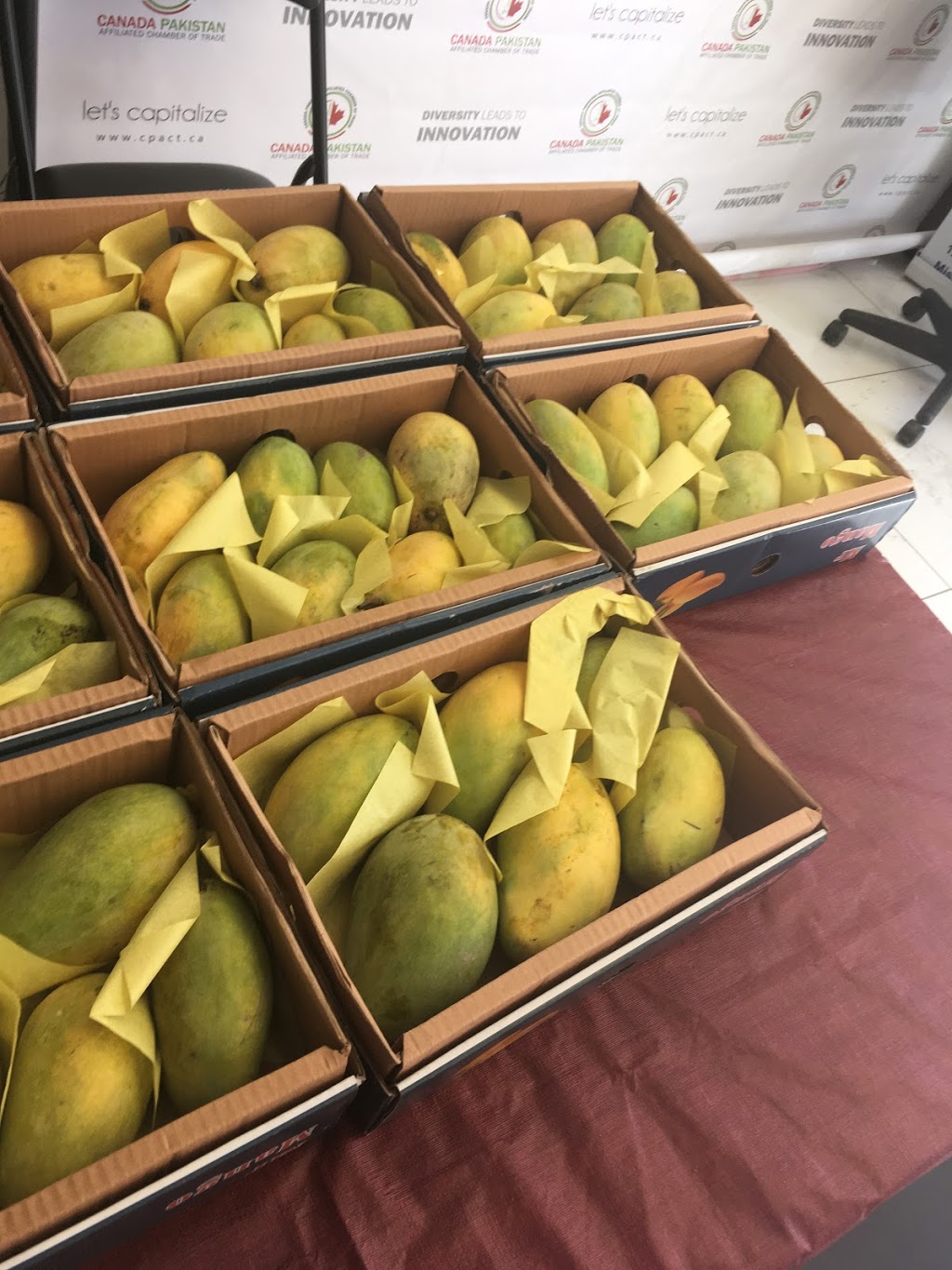 Pakistani Mangoes | 1212 Dundas St W, Mississauga, ON L5C 1E2, Canada | Phone: (647) 854-6665