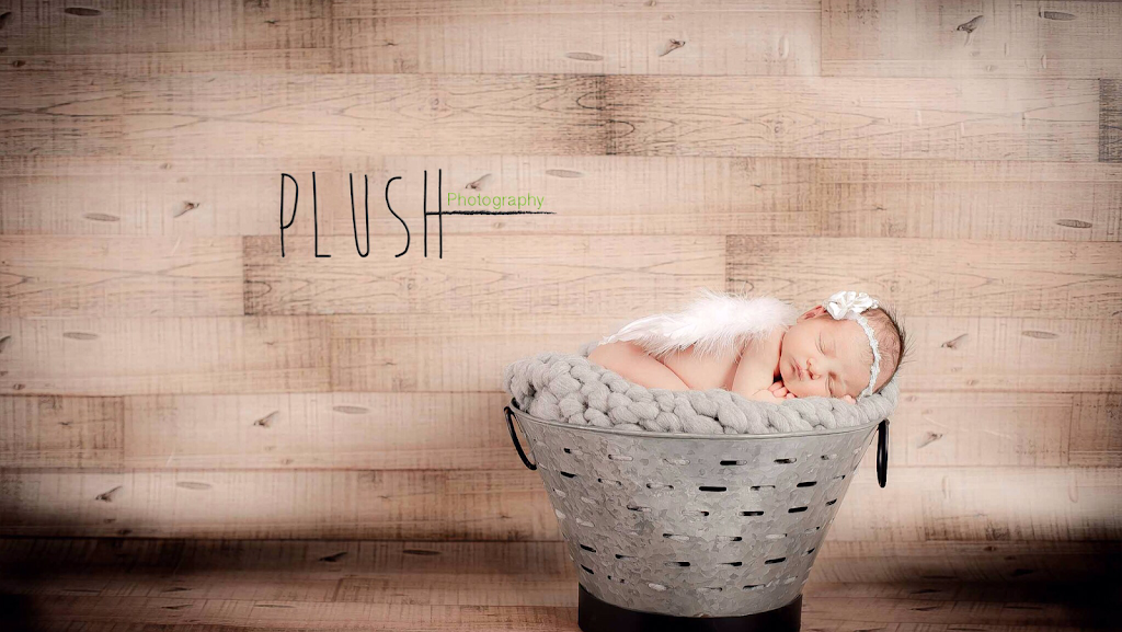 Plush Photography | Ramona, Markham, ON L3P 2W9, Canada | Phone: (416) 710-8673