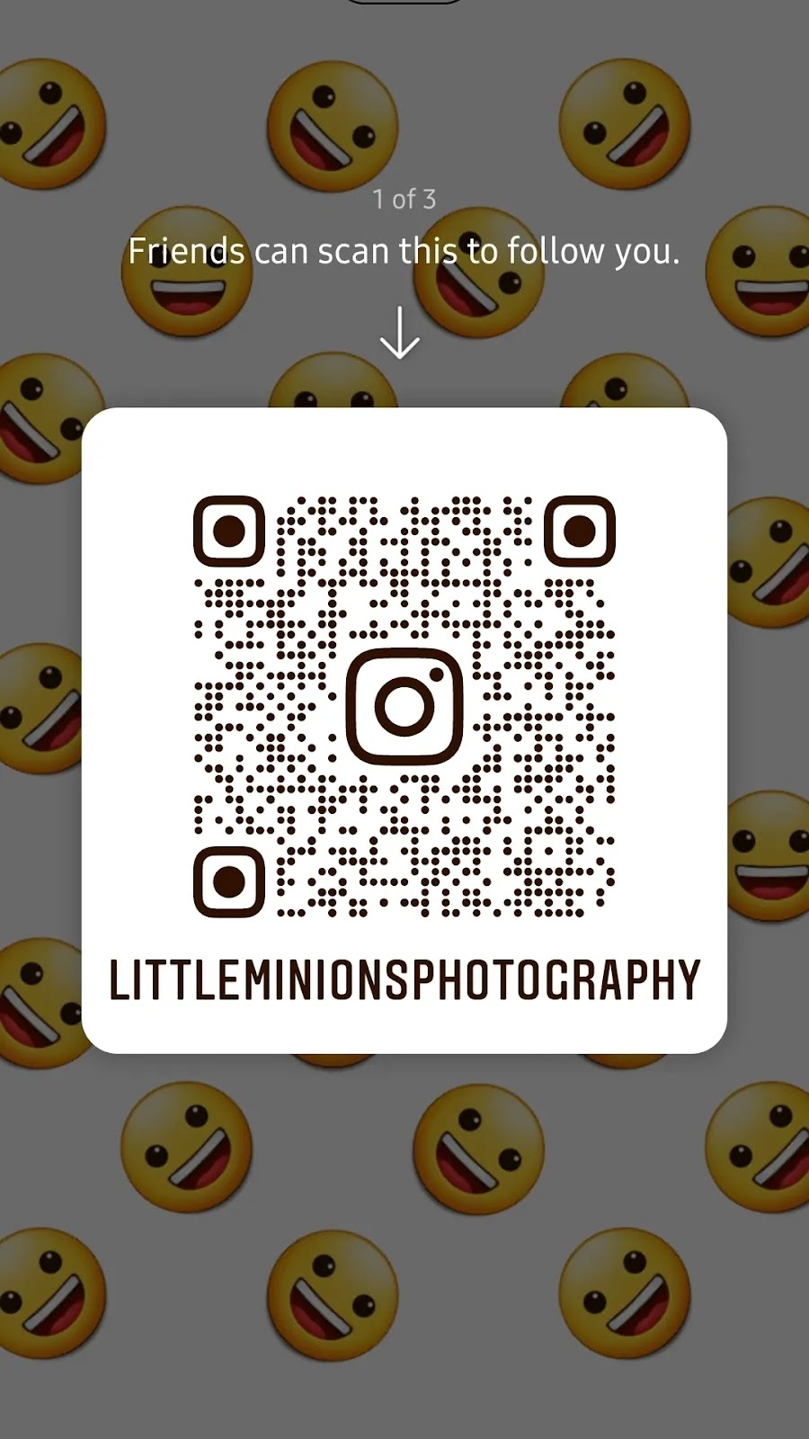 Littleminionsphotography | 66 Greendale Dr, Hamilton, ON L9C 5Z4, Canada | Phone: (289) 212-0007