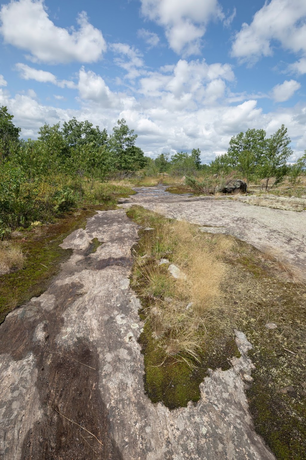 Jack Pine Conservation Estate | 64 Beattys Curv Rd, Kaladar, ON K0H 1Z0, Canada | Phone: (800) 684-4988