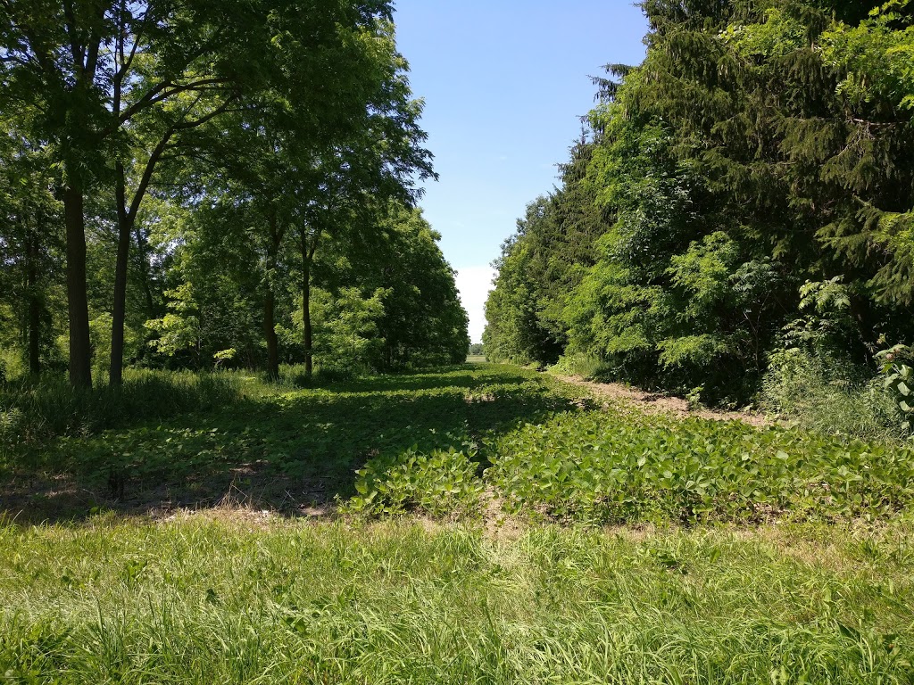 University of Guelph Agroforestry Research Site | 328 Victoria Rd S, Guelph, ON N1L 1B6, Canada